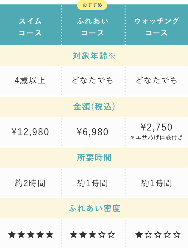 プログラム比較表